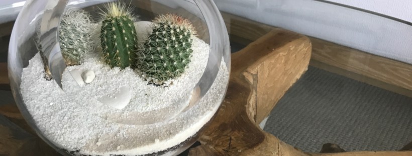 1 Hotel South Beach terrarium