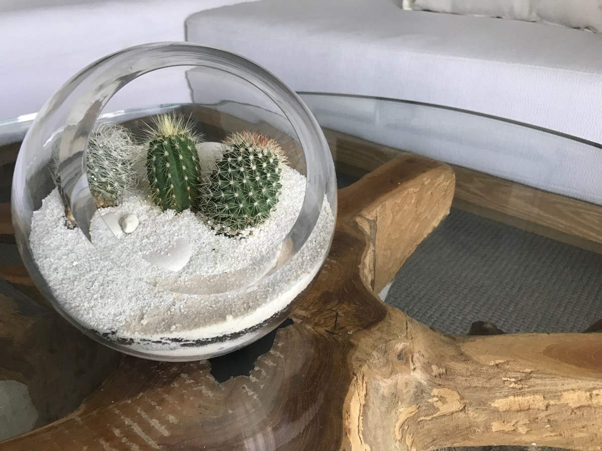 1 Hotel South Beach terrarium