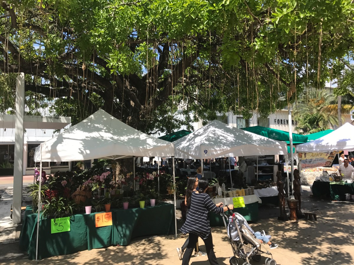 flowers Lincoln Road Farmers' Market