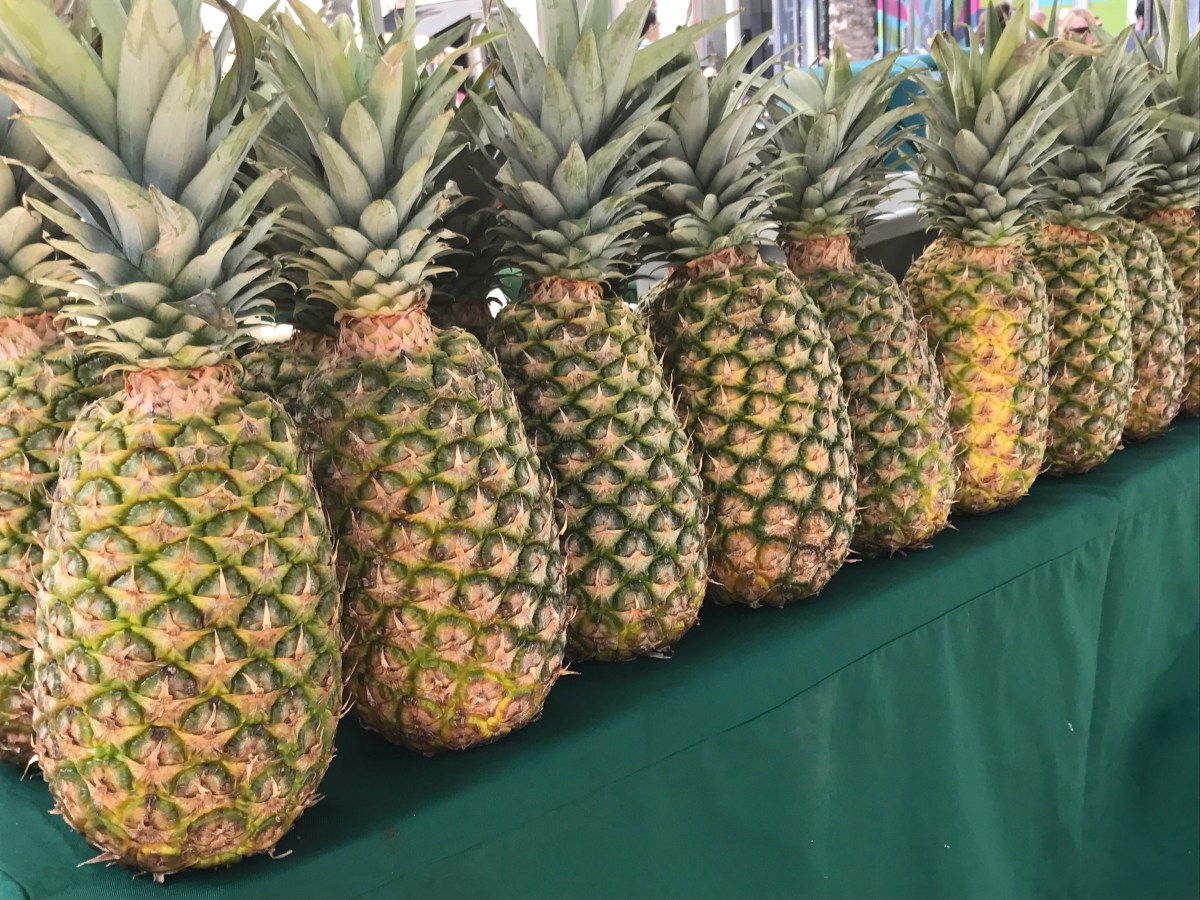 pineapples Lincoln Road Farmers' Market