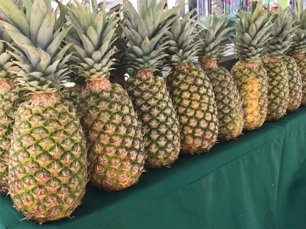 pineapples Lincoln Road Farmers' Market